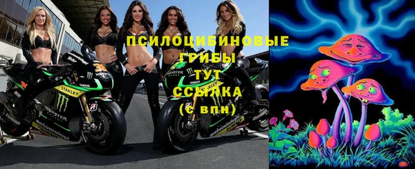сатива Медвежьегорск