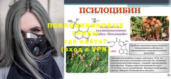 прущие крисы Мегион