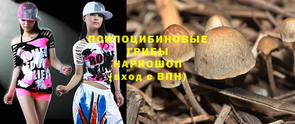 прущие крисы Мегион