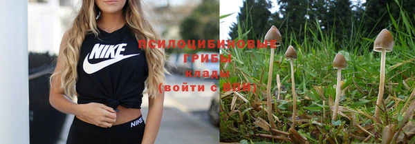 сатива Медвежьегорск