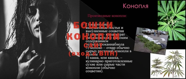 сатива Медвежьегорск