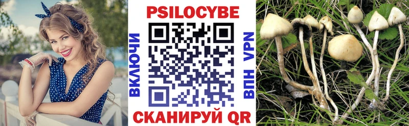 Псилоцибиновые грибы Psilocybe  Ильский 